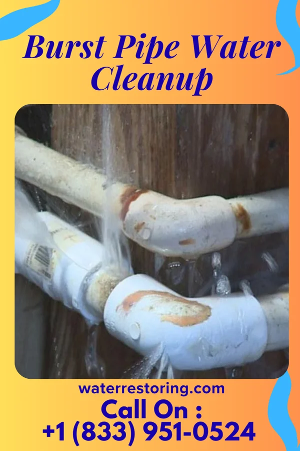 Burst Pipe Water Cleanup in Garibaldi, OR