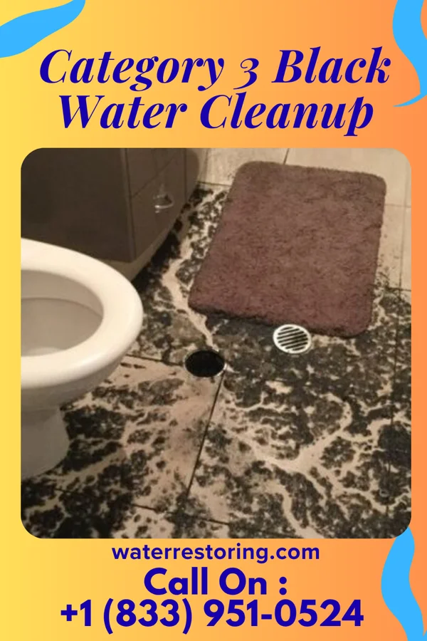 Category 3 Black Water Cleanup in Garibaldi, OR